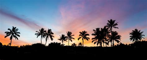 Sunrise Palm Trees From Secret Beach Photograph By Pierre Leclerc
