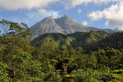 Merapi Volcano Behind The Forest Stock Image Image Of Border
