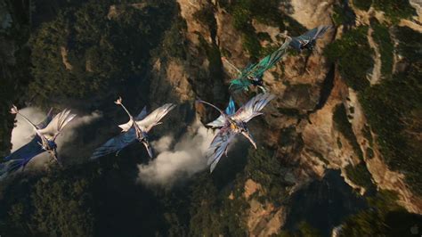 Banshee In Flight From Avatar Desktop Wallpaper
