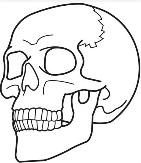 Skull Easy Skull Drawings Skulls Drawing Tattoo Design Drawings Cool