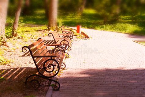 Park Bench At Sunset Stock Image Image Of Background 97736501
