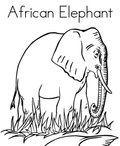 Drawing with the word africa and a lot of symbols of this continent around. Africa Coloring Pages - Coloring Home