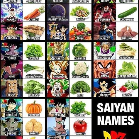 What Is The Reason For Most Of The Dragon Ball Extended Characters