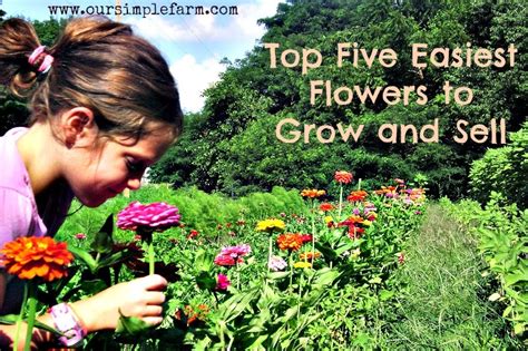 Best cut flowers to grow from seed. The Top Five Easiest Flowers to Grow and Sell - Our Simple ...