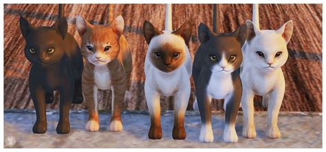 Sims 4 Ccs The Best Kitty Deco By Black