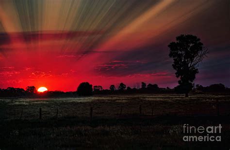 Warmth Of A Country Sunset Photograph By Kaye Menner