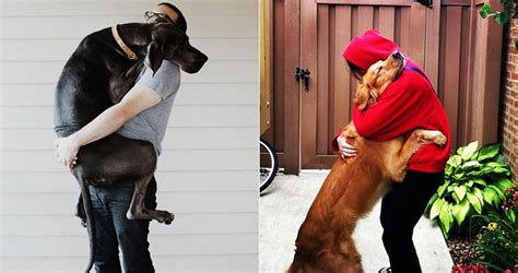 Tiernas Fotos De Perros Abrazando A Sus Due Os