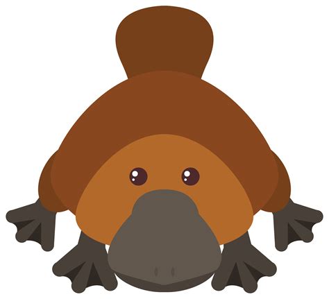 Cartoon Platypus Isolated On White Background Vector