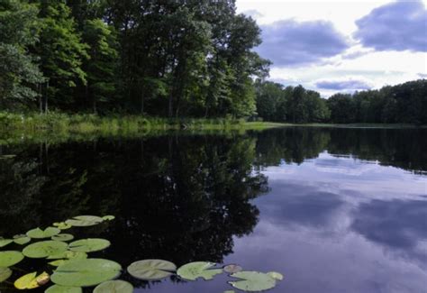 Riley Lake, Chippewa County Forest – New Auburn, Wisconsin – My