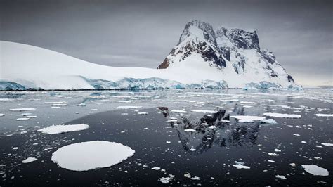 Antarctic Explorer Discovering The 7th Continent Wayfinders