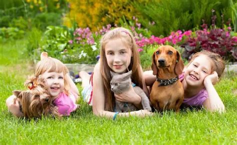 The Bond Between Children And Pets Cats And Dogs