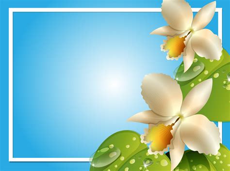 Border template with white orchids 362455 Vector Art at Vecteezy