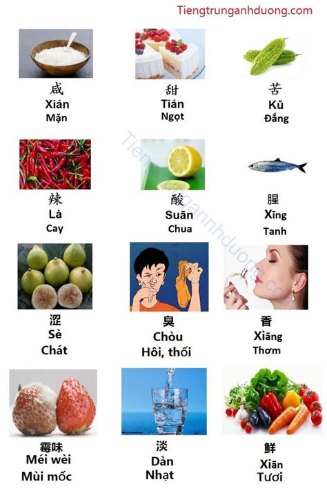 Để luyện tập viết chữ cho đúng, cho nhanh (viết là cách để nhớ từ khá hiệu quả). Từ vựng tiếng trung mùi vị thức ăn | Từ vựng, Chữ hán, Tiếng trung quốc