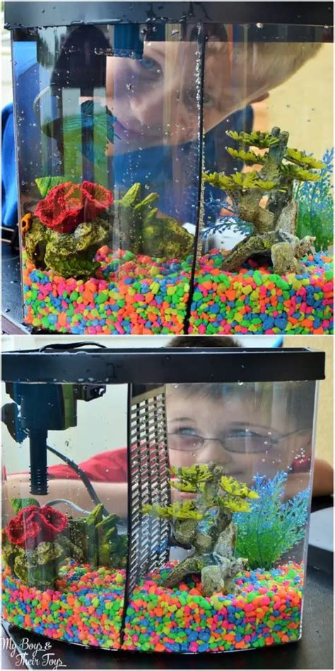 Fishing For Responsibility At Petsmart How To Buy A Pet Fish