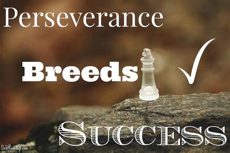 Perseverance Breeds Success Debt Roundup