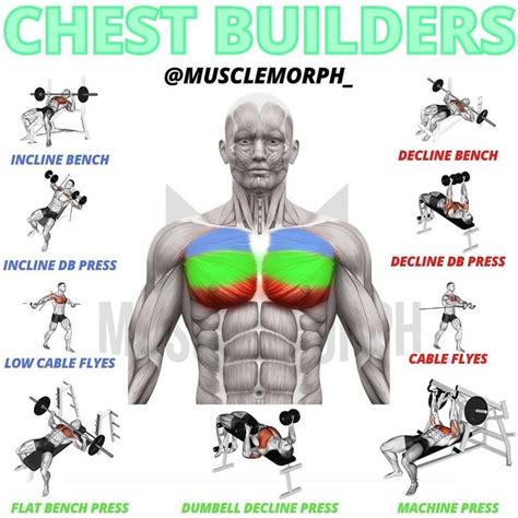 Build A Colossal Chest With This 3 Exercise Workout That Takes Under 10