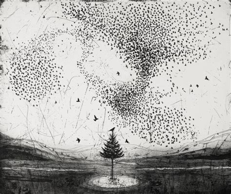 Birds Swoop And Swell Into Imagined Inky Murmurations In Fiona Watsons Etchings — Colossal