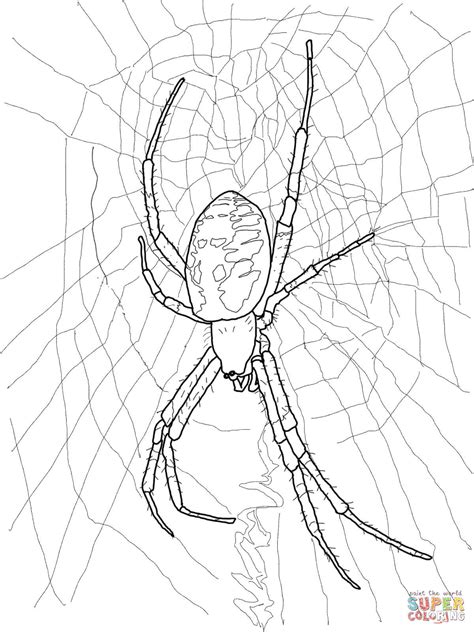 Gambar Black Yellow Garden Spider Coloring Page Free Printable Click Pages Di Rebanas Rebanas
