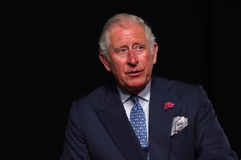 Prince Charles Finally Wears a Face Mask — With a Very Special Meaning