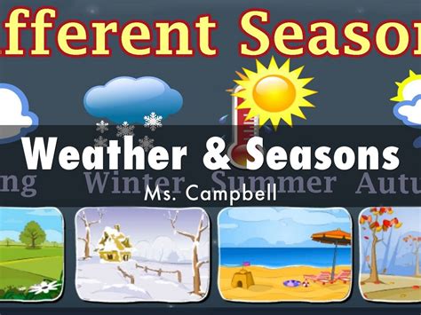 Seasons And Weather
