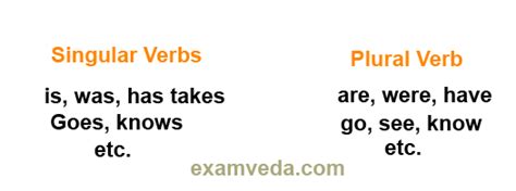 When you look at the singular and plural verbs, you could notice that the nouns and pronouns are generally linked with the sentences and identified as singular and plural as well. How to make Verbs agree with Numbers - Verb-Number Agreement