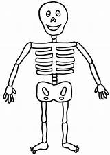 Skeleton Coloring sketch template