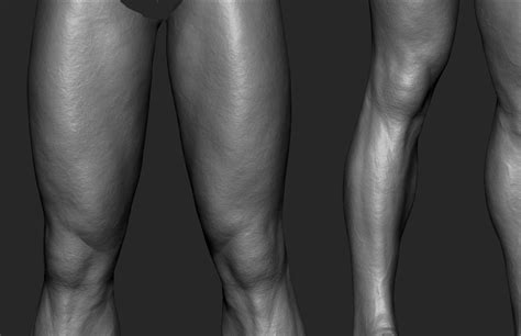 Artstation Leg Zbrush Andrey Gritsuk Zbrush Body Anatomy Leg Anatomy