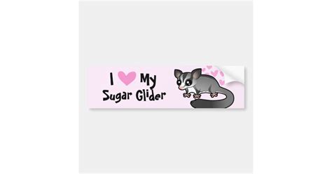 I Love My Sugar Glider Bumper Sticker Zazzle