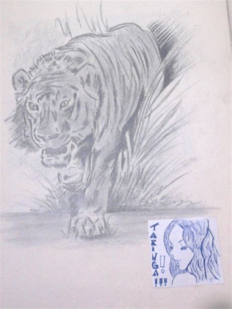 Mis dibujos | animales,personas,paisajes,anime etc. - Arte ...