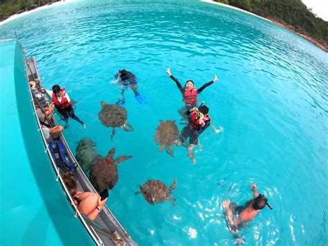 Here are offered the most popular services: Sari Pacifica Redang 3D2N Twin Island Snorkelling Package ...