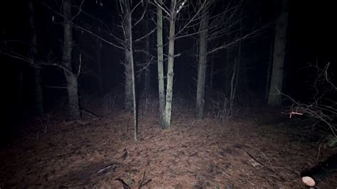 Spooked In Scary Woods At Night Running Stock Footage Sbv 334025585