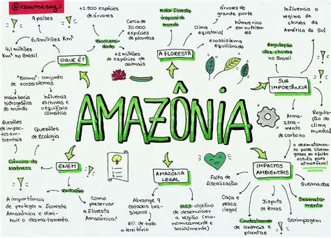Mapa Mental Da Amazônia Modisedu
