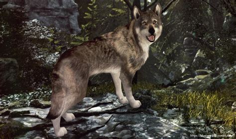 Blue Ancolia On Tumblr Sims 4 Wolfdog
