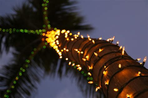 Christmas Traditions Of Hawaii · All Things Christmas