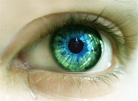 Pin On Blue Eyes And Green Eyes