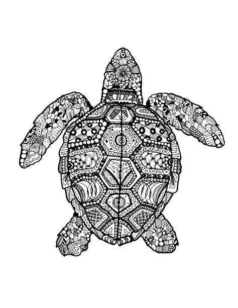 Zentangle Drawings Turtle Drawing Zentangle Art