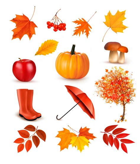 Premium Vector Set Of Autumn Themed Objects Vector