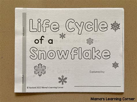 Snowflake Life Cycle Booklet And Worksheet Classful