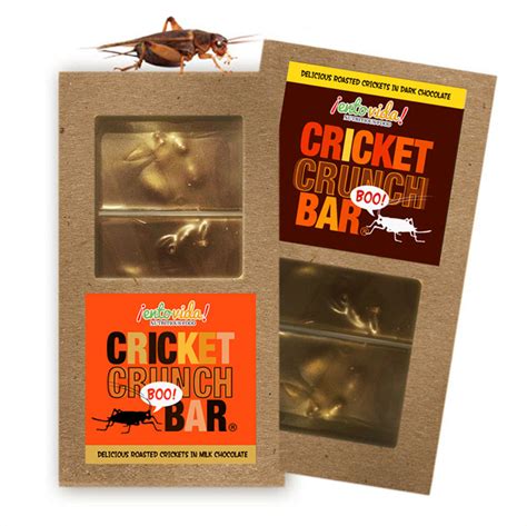 Chocolate Covered Insects Entomarket At