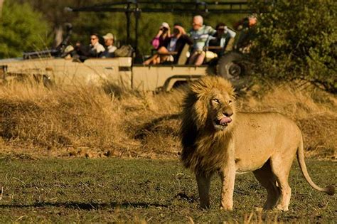 Visit Chobe National Park Discover Botswana Safari Specialists