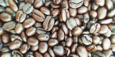 Wp Mccafe Coffee Beans Faze
