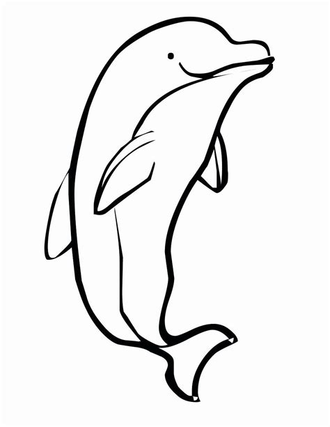 Baby Dolphin Drawing At Getdrawings Free Download