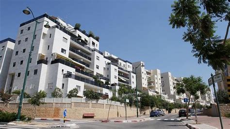 איך מסבירים לה שלא כל משחק נגמר עם שלשת ניצחון מול העיניים, ואיך מונעים ממנה להיות אוהדת נס ציונה. העיר היציבה ביותר בישראל - נס ציונה