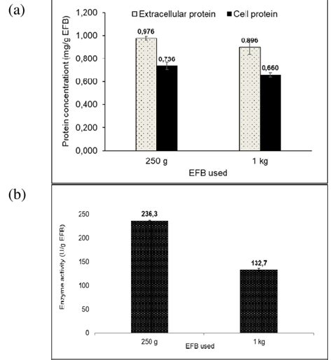 A Protein Content Profile And B Xylanase Activity As A Function Of Download Scientific