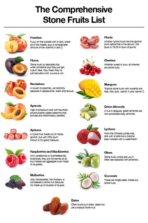The Comprehensive Stone Fruits List Veggieshake Stone Fruits List Fruit List Stone Fruits