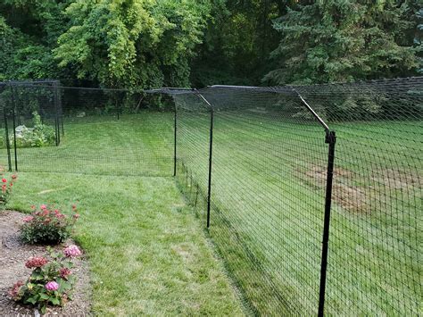 Cat Proof Fence Options Diy Vs Commercial Purrfect Fence