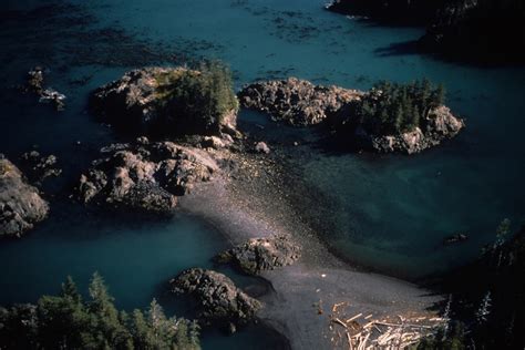Exxon Valdez Oil Spill | CounterSpill