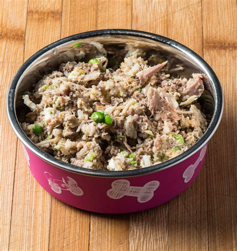 Healthy Homemade Dog Food - Tasty Low Carb | Healthy dog food recipes, Dog food recipes
