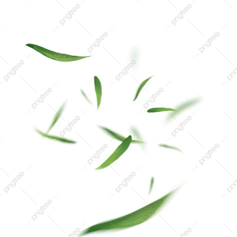 Green Leaf Floating White Transparent Hand Drawn Floating Green Leaf