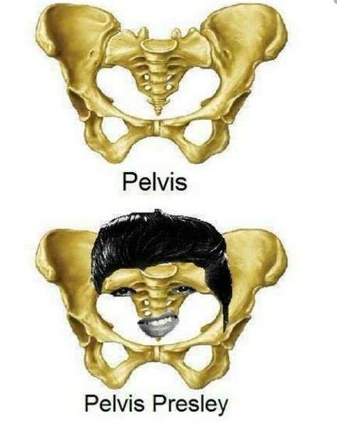 As A Med Student This Made My Day Medical Jokes Anatomy Humor